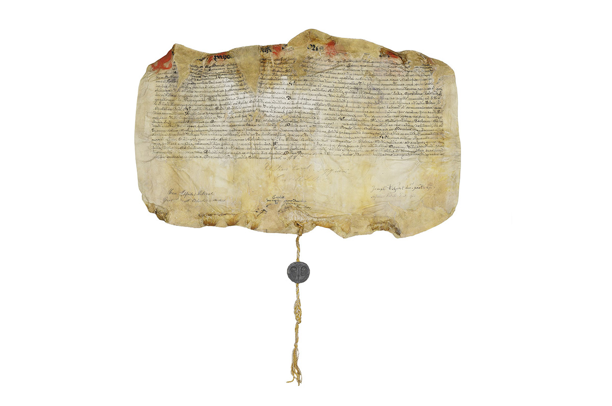 Photo of parchment after conservation treatment