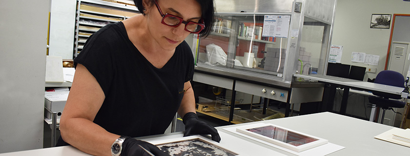 Conservator working on glass plates